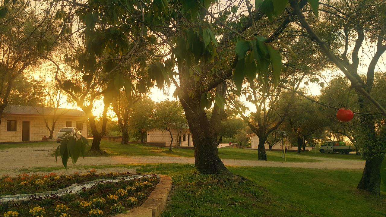 Park &