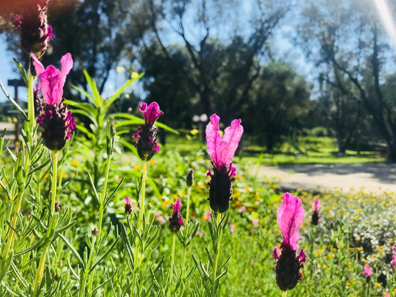 Park & * Bagnara Calabra